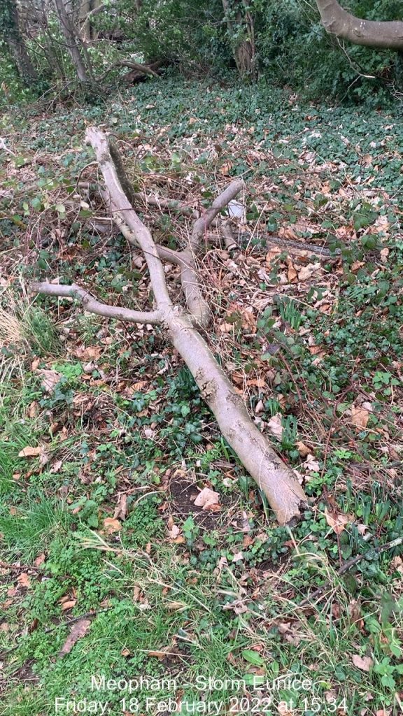 Sorm Eunice hits Meopham